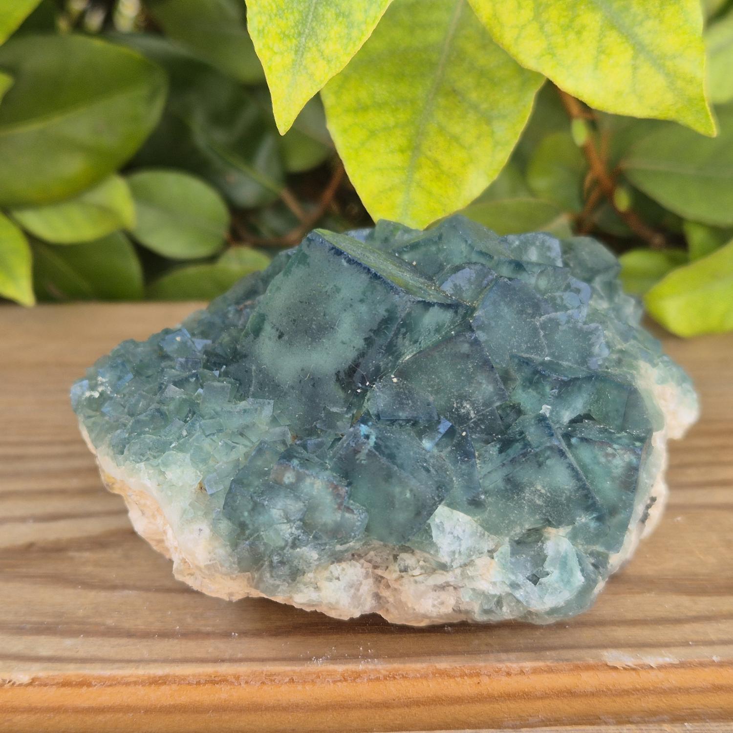 Fluorite verte - Madagascar
