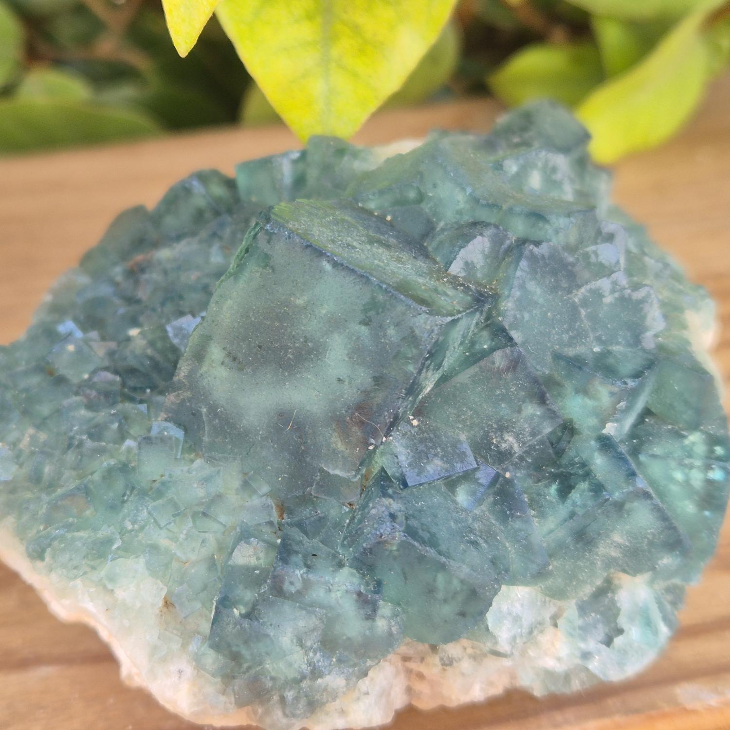 GEM_20260710_155607