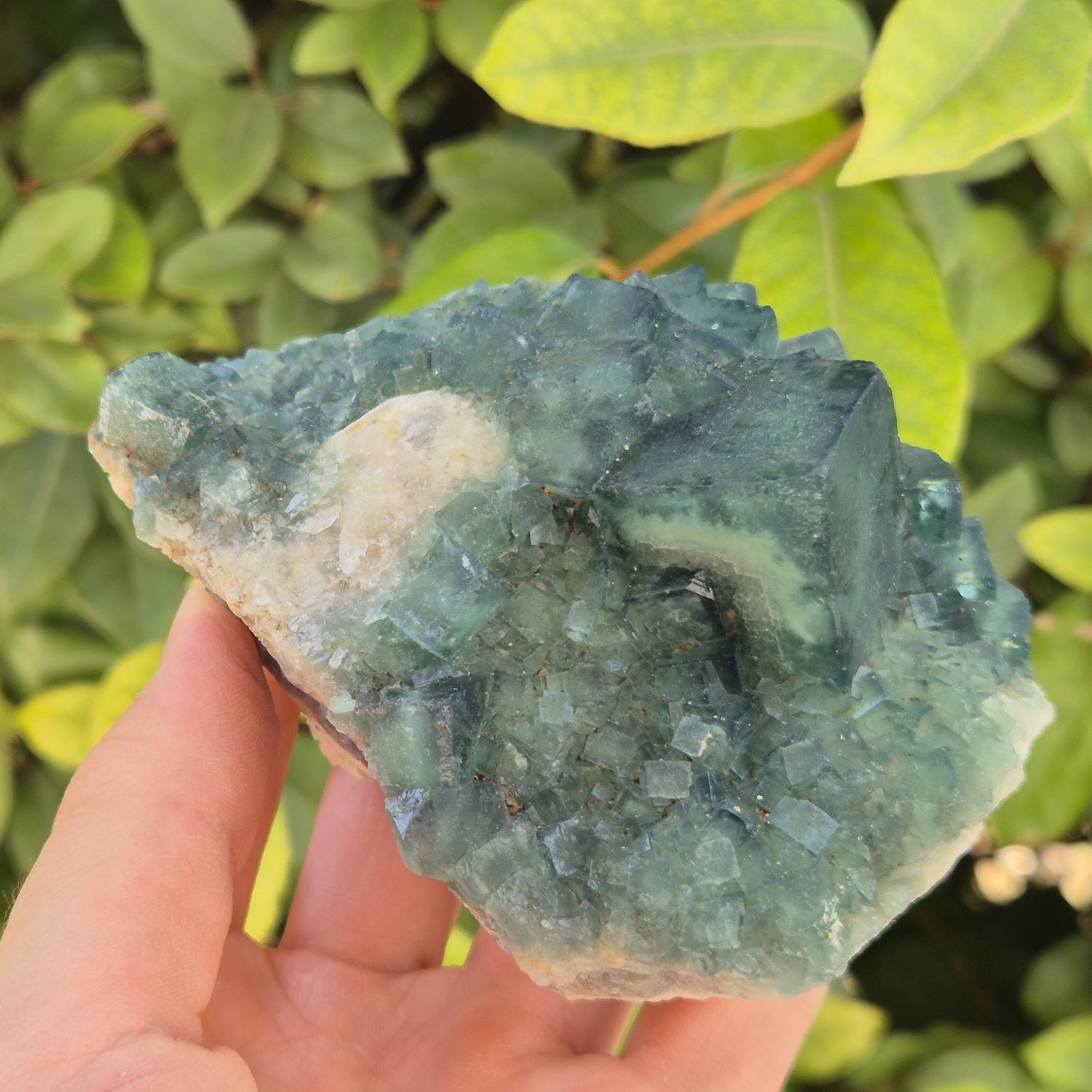 GEM_20260710_155615