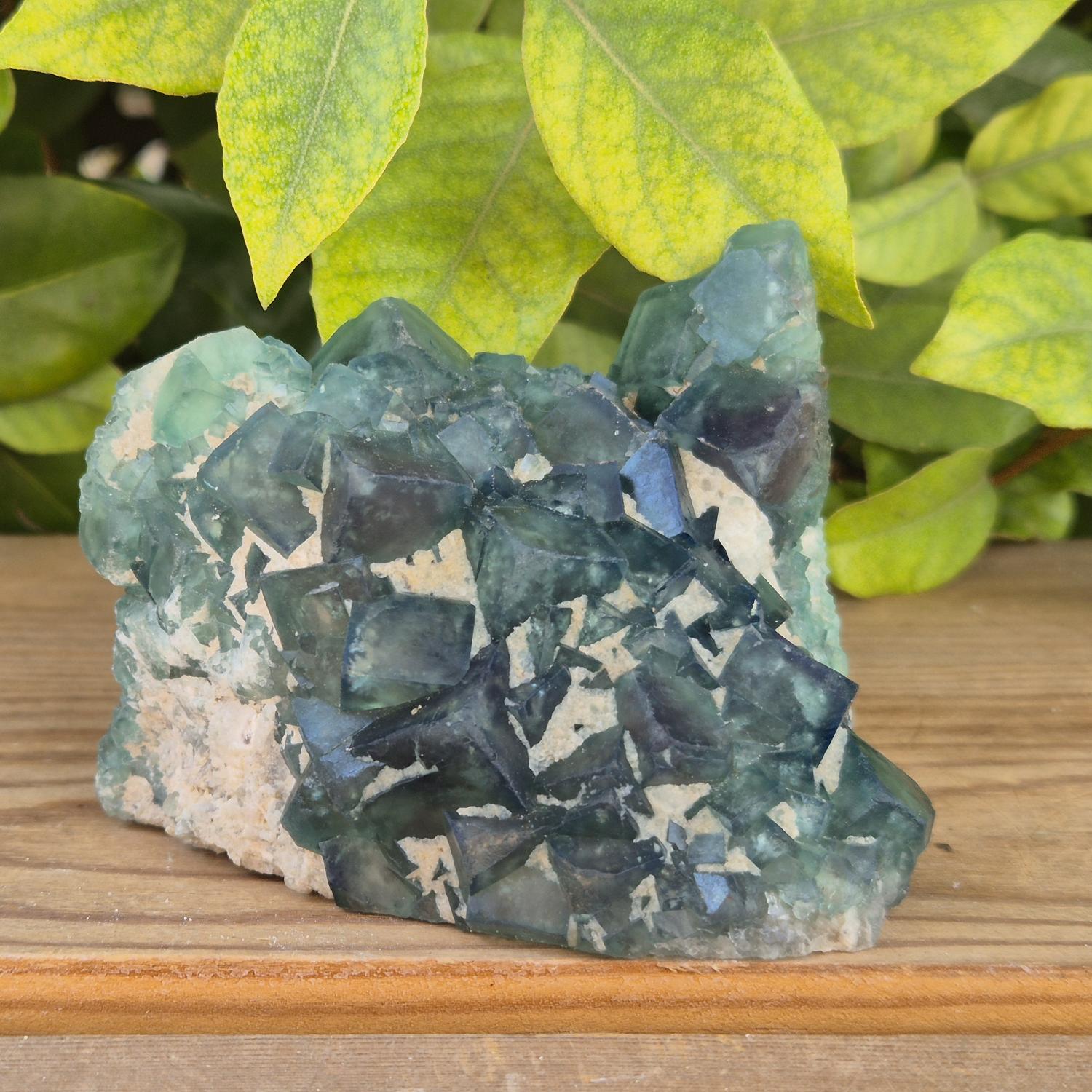 GEM_20260710_155643