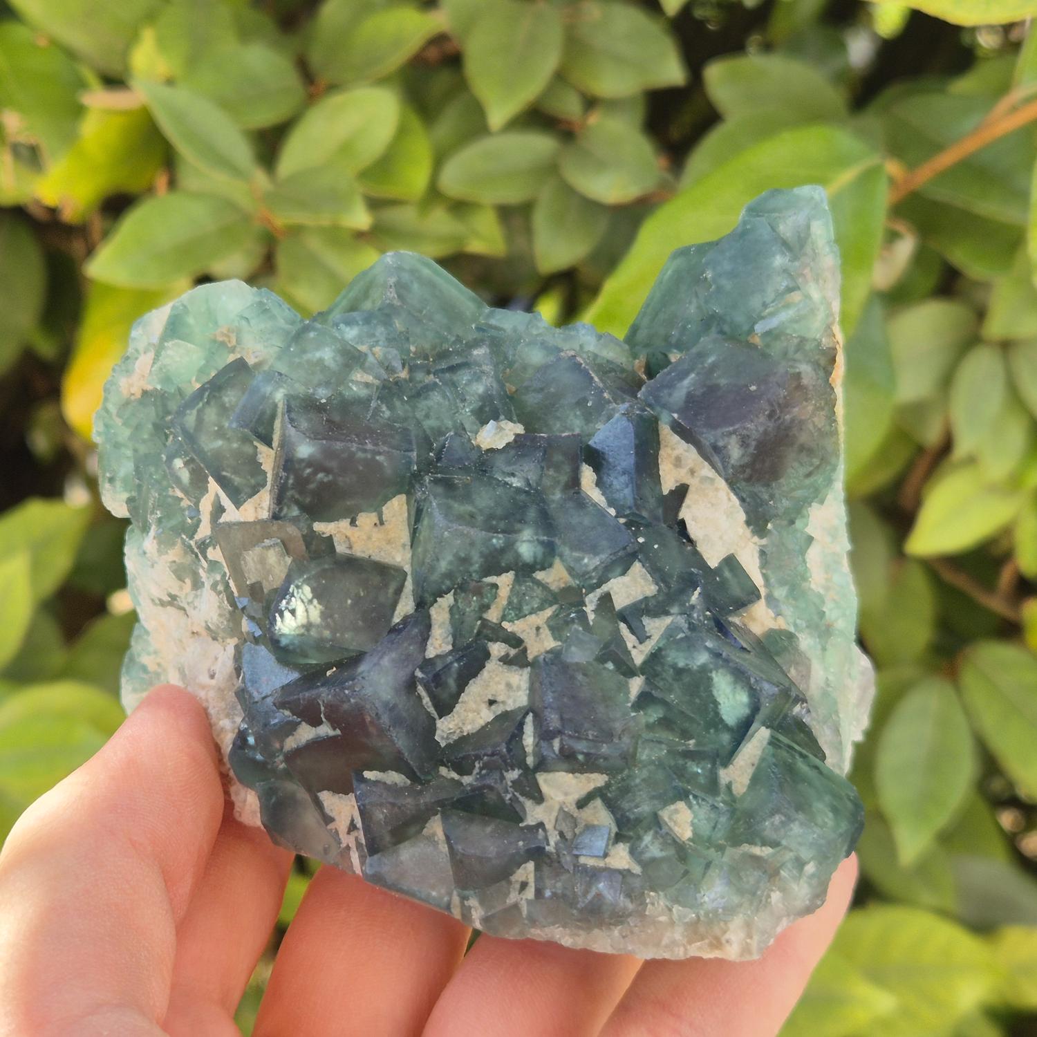 GEM_20260710_155649