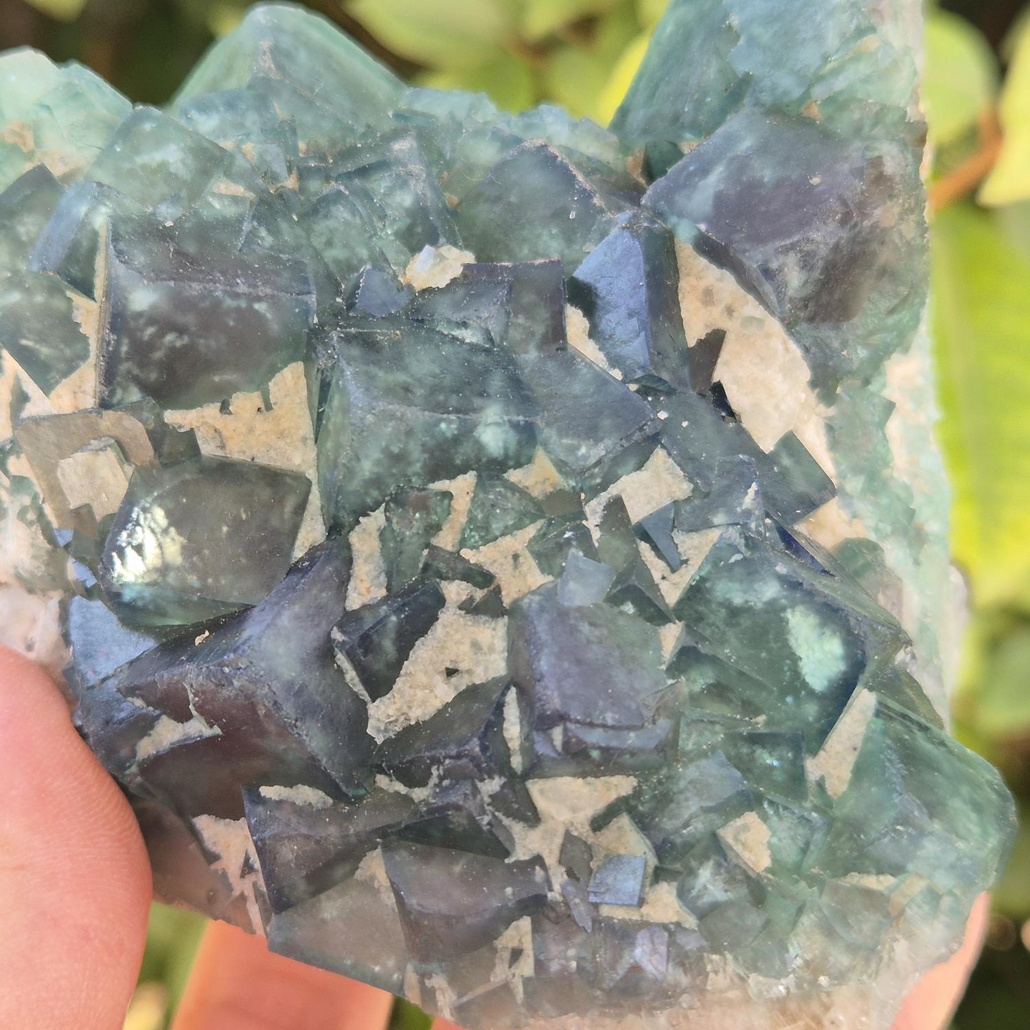GEM_20260710_155652