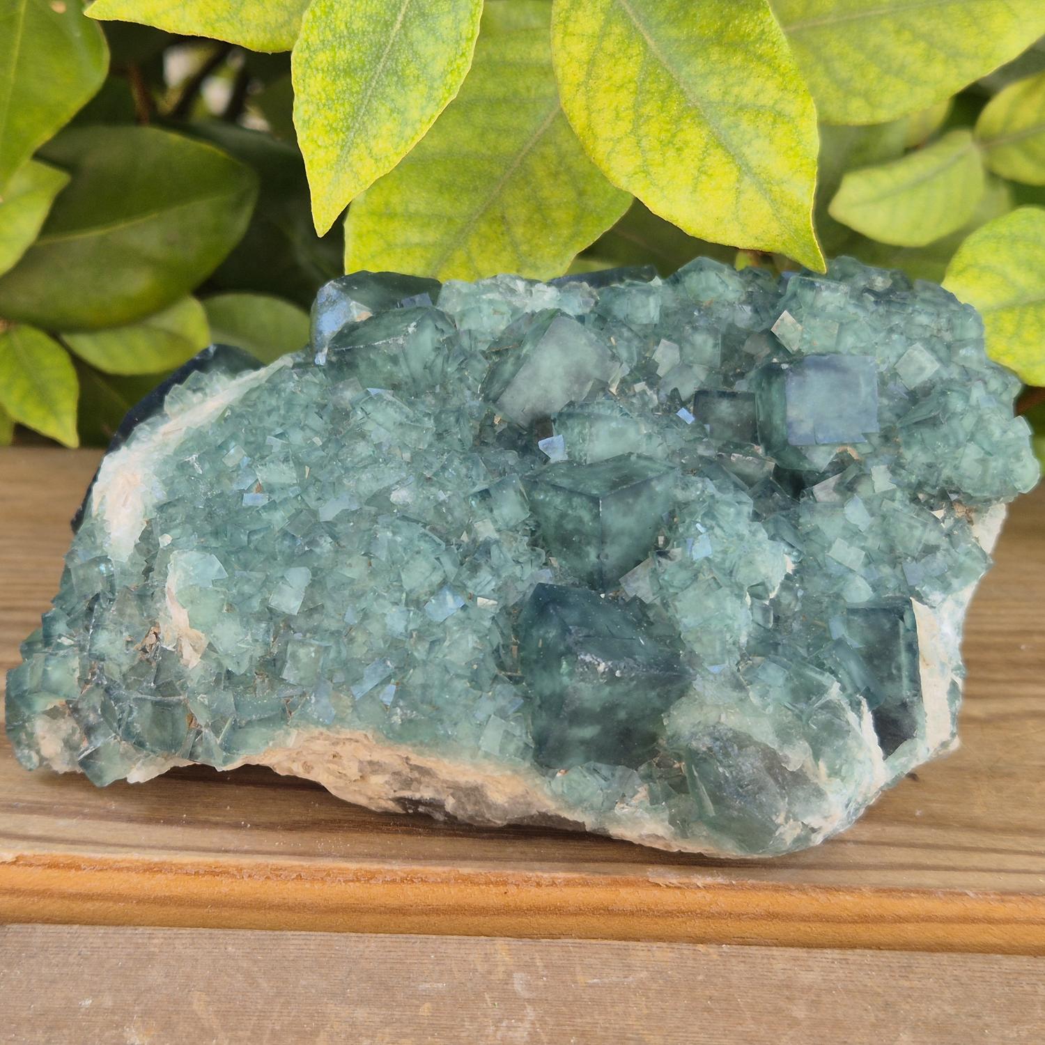 GEM_20260710_155754