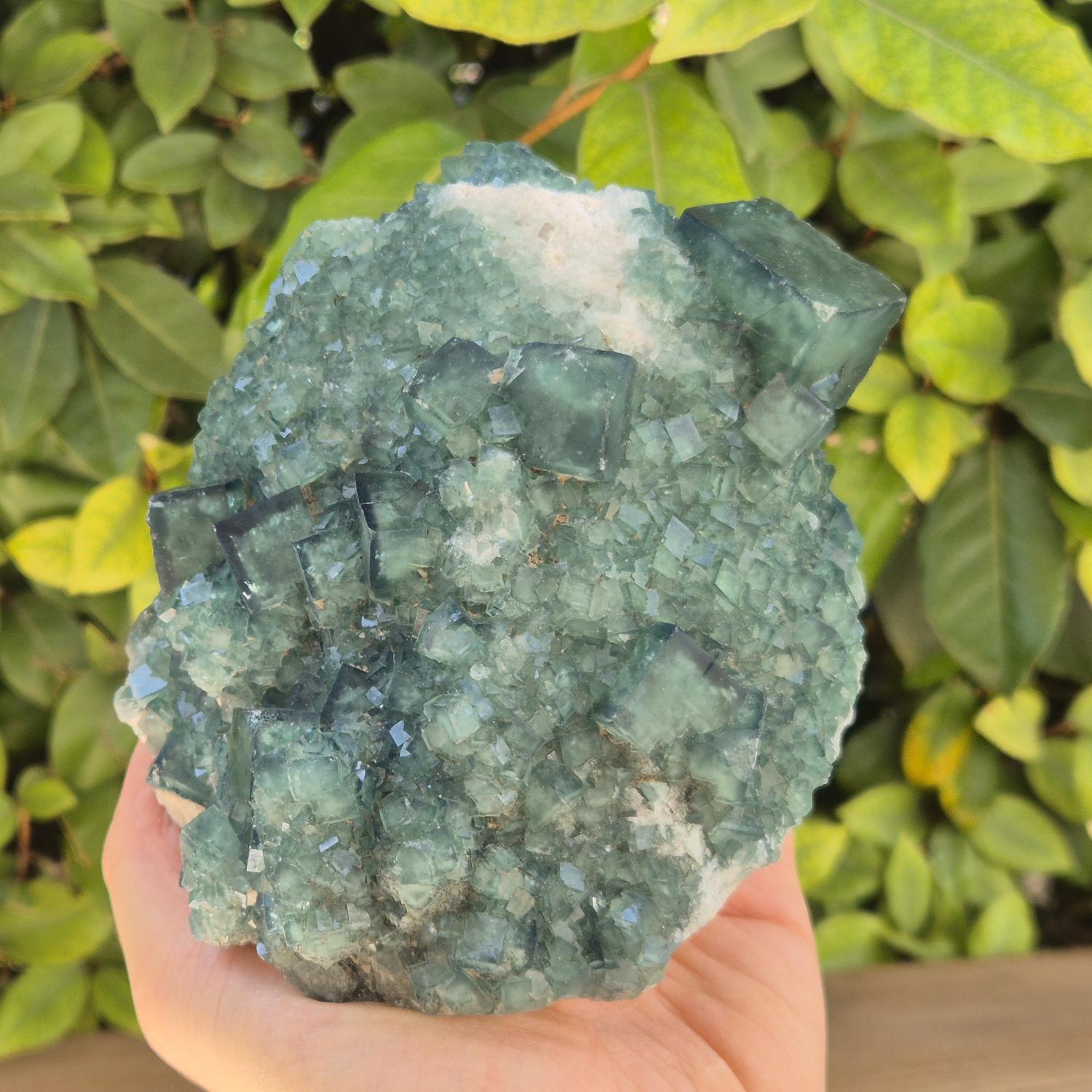 GEM_20260710_155819