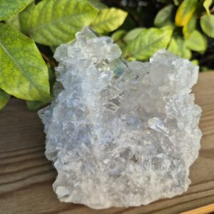 Quartz Cristal de Roche - Brésil