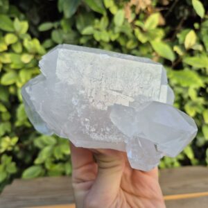 Quartz Cristal de Roche - Brésil