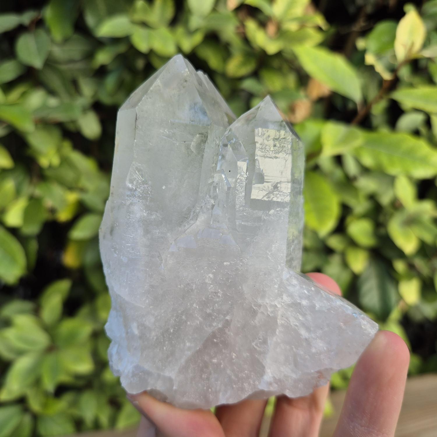 Quartz Cristal de Roche - Brésil