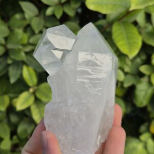 Quartz Cristal de Roche - Brésil