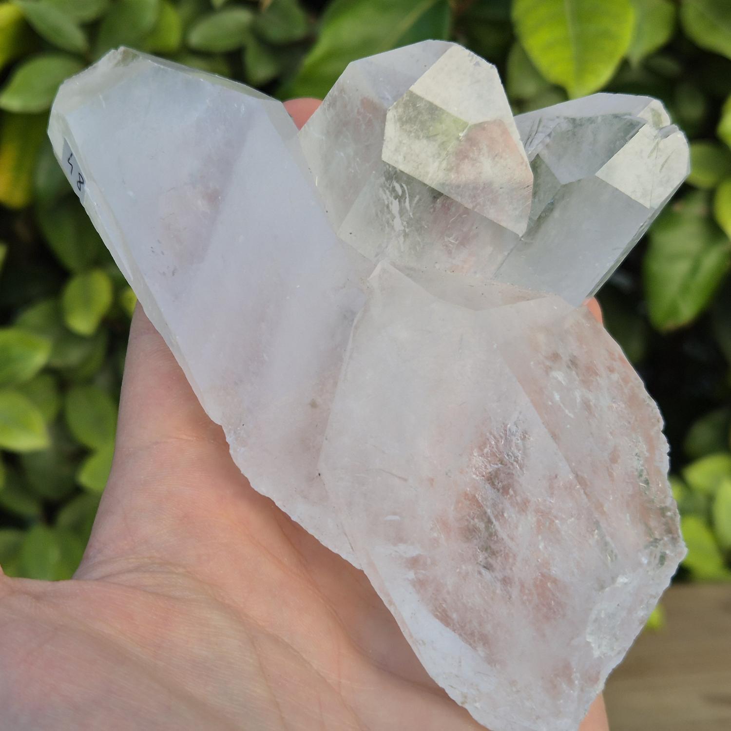 Quartz Cristal de Roche - Brésil
