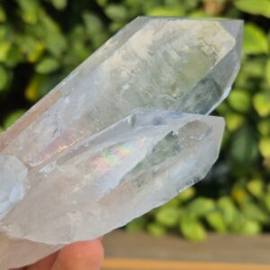 Quartz Cristal de Roche - Brésil