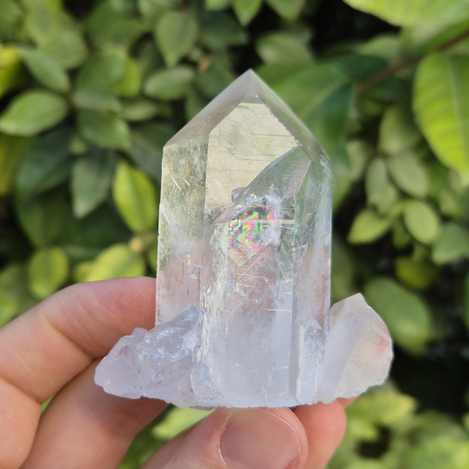Quartz Cristal de Roche - Brésil