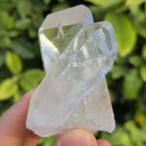 Quartz Cristal de Roche - Brésil