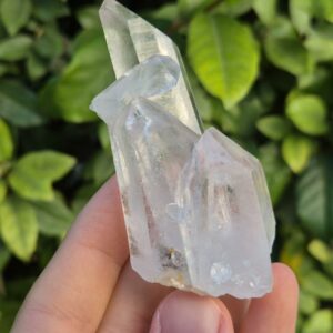 Quartz Cristal de Roche - Brésil
